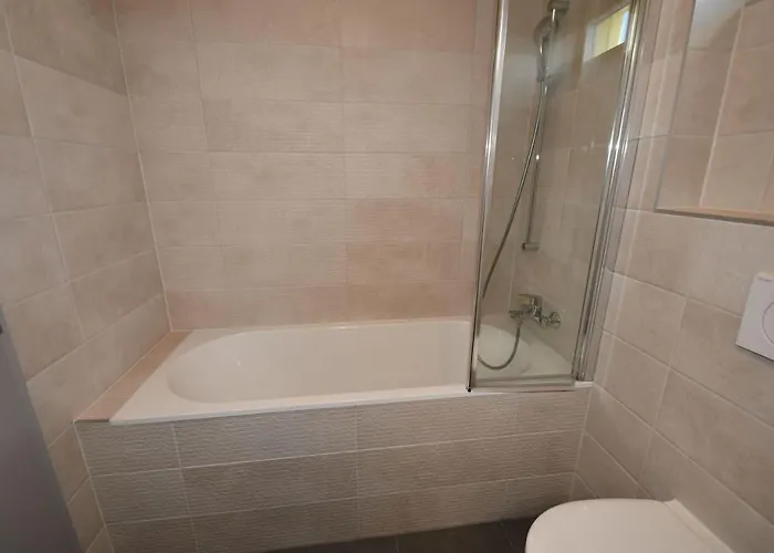 Efi Holzova 28 * Brünn (Brno)